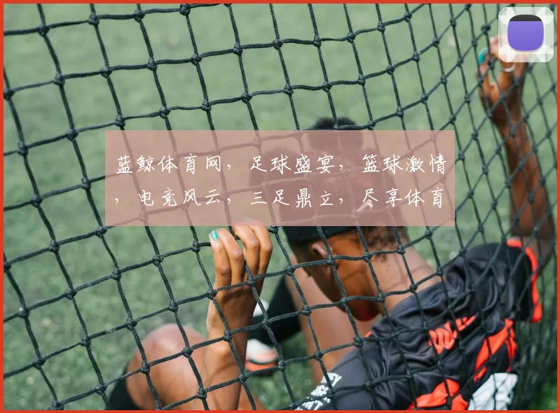 蓝鲸体育网，足球盛宴，篮球激情，电竞风云，三足鼎立，尽享体育盛宴