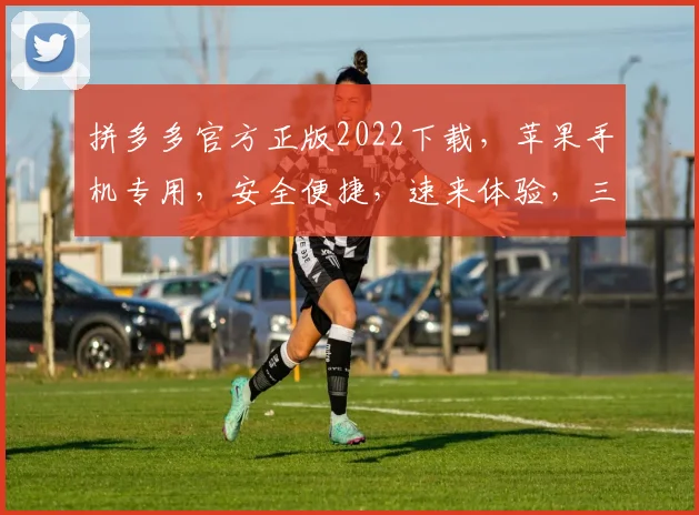 拼多多官方正版2022下载，苹果手机专用，安全便捷，速来体验，三步轻松拥有
